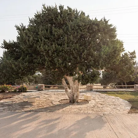 Aurea Blu 10 Dreaming, Beach, Tranquility, Sea Apartment Aliko Beach