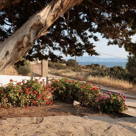 Aurea Blu 10 Dreaming, Beach, Tranquility, Sea Daire Aliko Beach